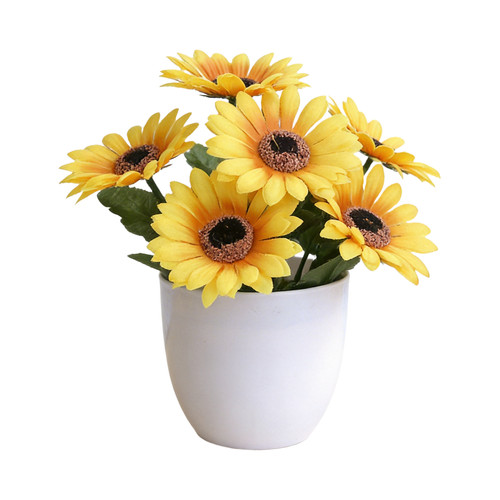 Piante fiore realistiche in - piante,