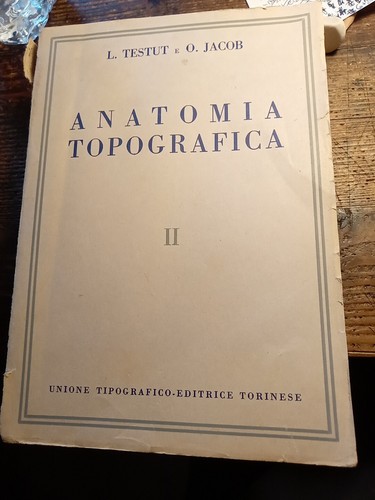 Libro anatomia topografica - libro,