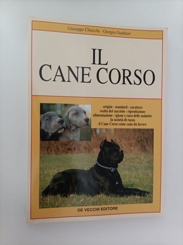 Cane corso chiecchi - cane,