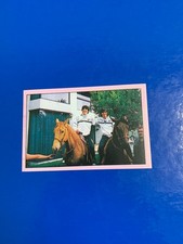 CALCIATORI PANINI 1985-86