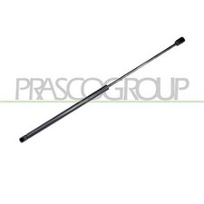 Molla A Gas Dx/sx Portellone