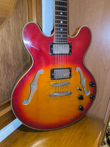 Chitarra elettrica cane - elettrica, 41/460