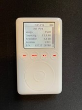 Fully Working Apple iPod