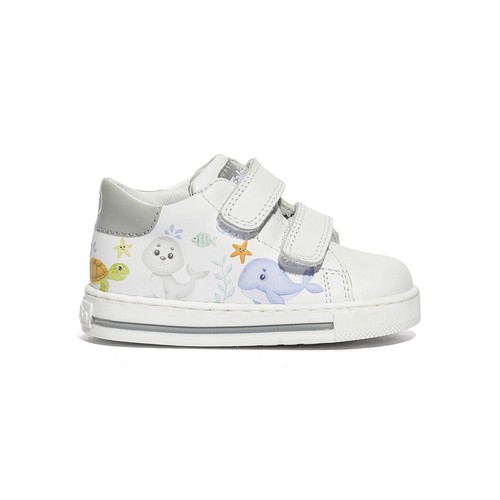 Sneakers falcotto - sneakers,
