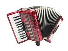 Fisarmonica, campione del