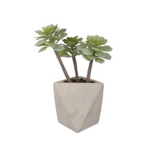 Piantina artificiale 30 cm con