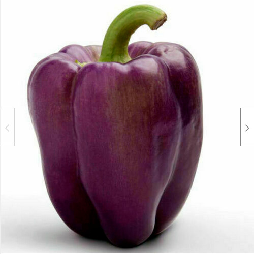 Peperone viola gigante 25 - peperone,