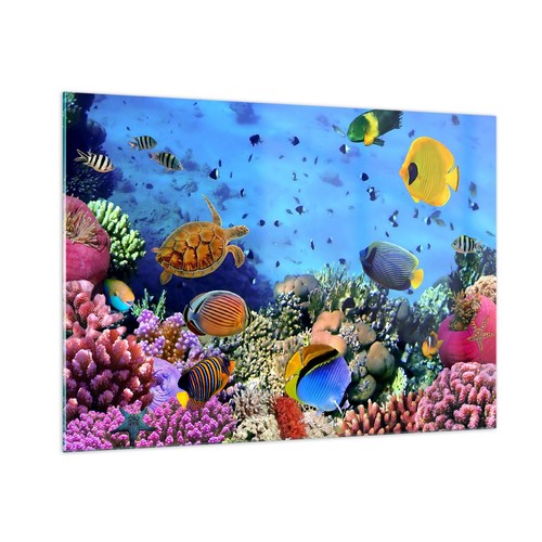 Quadro vetro 100x70cm - quadro, su