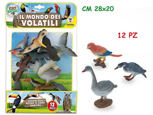 Teorema geo nature - nature,