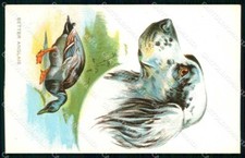 Artista Firmato Norfini Cane da Caccia Setter Cane 4089-5 cartonelina KF6946