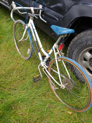 Bicicletta donna vintage - bicicletta,