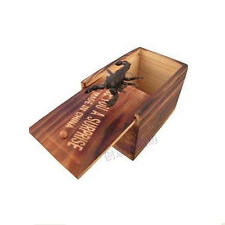 Insetti all'interno della