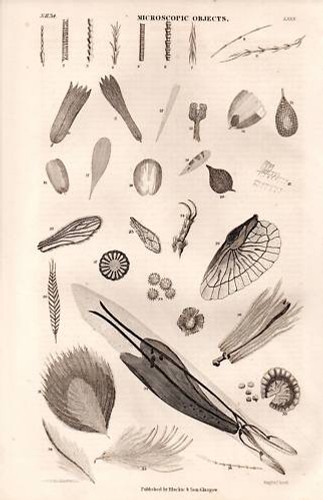 1874 stampa oggetti - 1874,