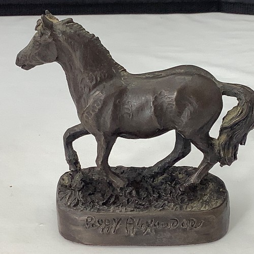 Welsh mountain pony - welsh,