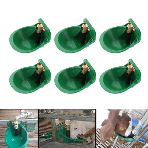 6pz ciotole abbeveratoio - 6pz,