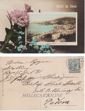 ELENA: Saluti da ...Panorama  e fiori   1914