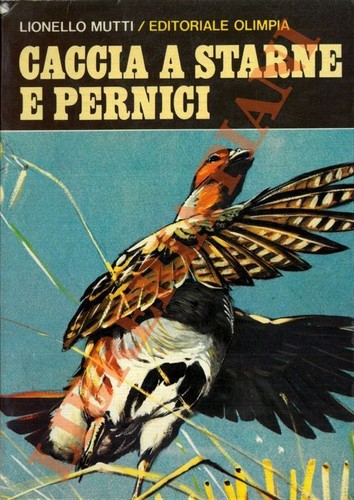 Mutti lionello caccia a - caccia,