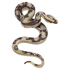 Serpente gomma realistico - gomma,