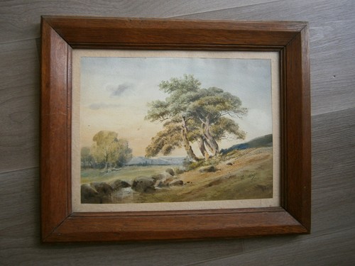 Disegno antico acquerello - disegno,