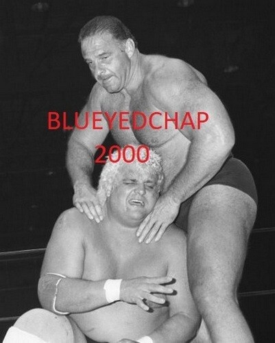 Mark lewin dusty rhodes - lewin,