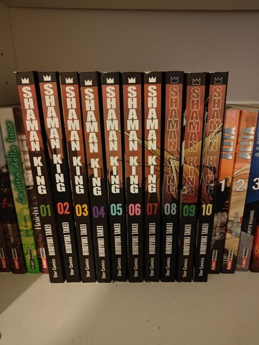 Shaman king perfect - king,