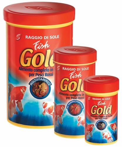 Fish gold alimento - fish,