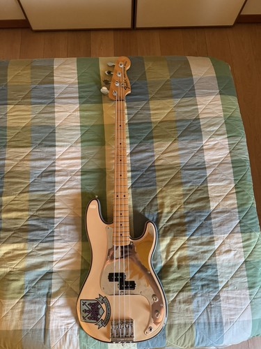 Fender bass steve - fender, p-bass