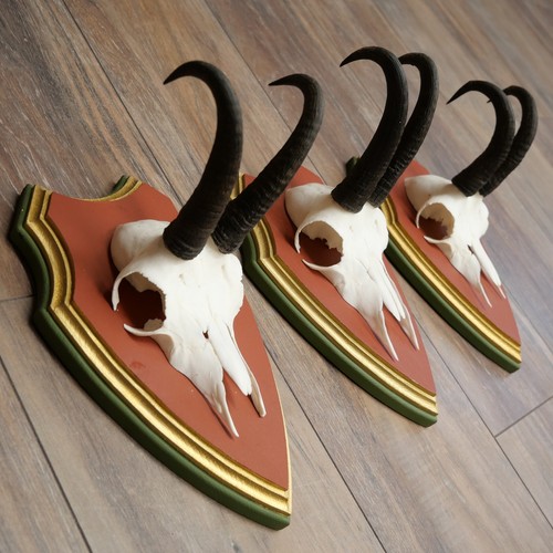 Corna gams gamsen bock - di,