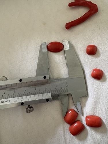 Corallo rosso - corallo,