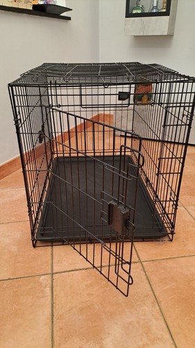 Kennel