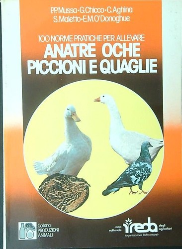 Anatre oche piccioni quaglie - oche,