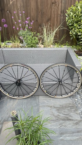 Ruote bici strada mavic - ruote,
