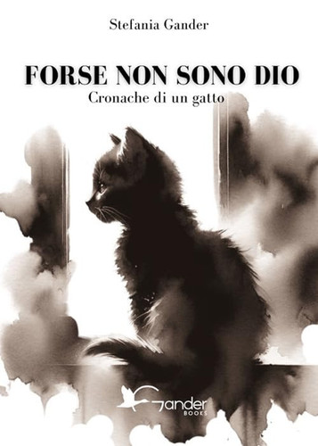Forse non sono dio cronache - forse,