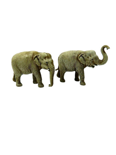 Elefante landi moranduzzo - landi,