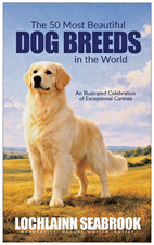 The 50 Most Beautiful Dog