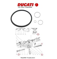 Ducati GTL GTV 350 500
