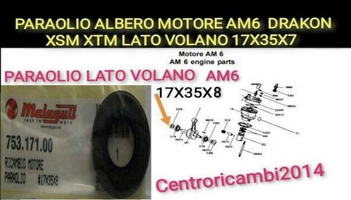 Paraolio albero motore - paraolio,