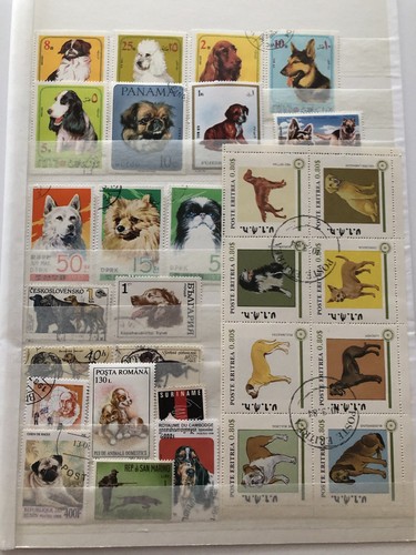 Pagine album cani taglia - 2,