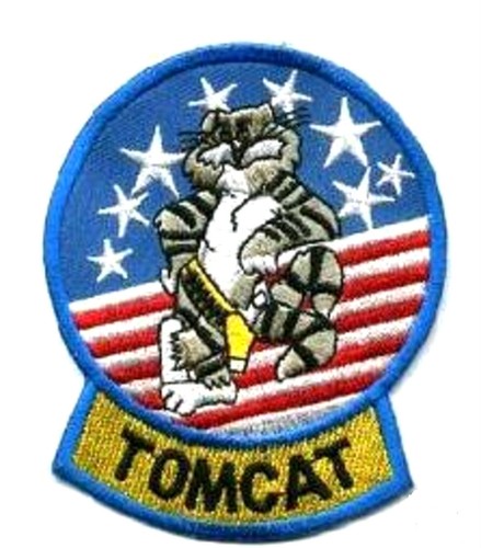 Top gun topgun tomcat - f-14,