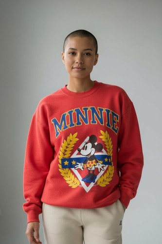 Hanes felpa disney - hanes,