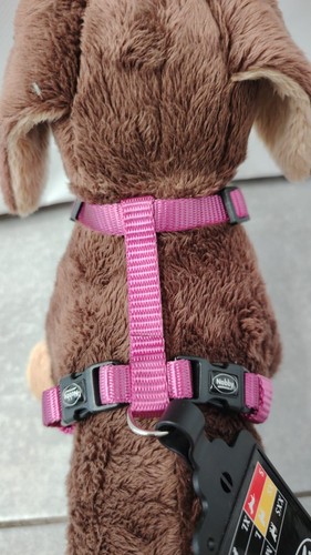 Pettorina per cane nobby - cane,