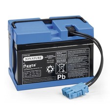 Batteria 12V 12Ah per auto