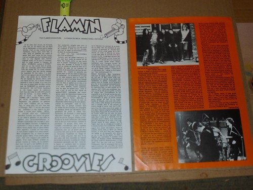 Flamin groovies francese - groovies, (2)