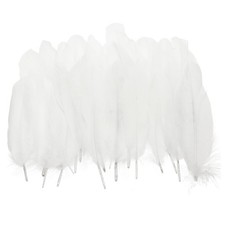 Piume d'oca naturali sfuse