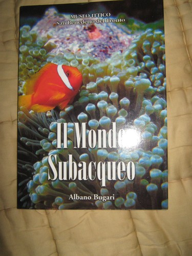 Mondo subacqueo albano - mondo, di
