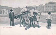 CARTOLINA DI NAPOLI ,TIPI POPOLARI - 1900 Ca.  non viaggiata