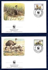 URUGUAY 1993  WWF - Greater Rhea su Busta Primo Giorno