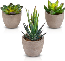 Set Di 3 Piante Artificiali Succulenti in Vasi Tondi Mini Piante Grasse Finte Da