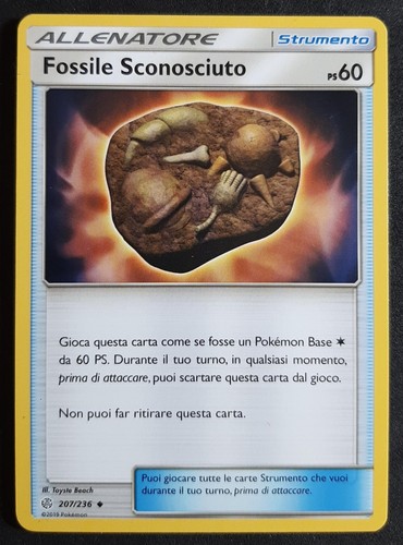 Fossile sconosciuto 207 236 - sconosciuto, 207/236