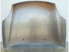 51775925 COFANO ANTERIORE FIAT BRAVO (198) 1.6 MULTIJET 16V 120CV (2009) ORO